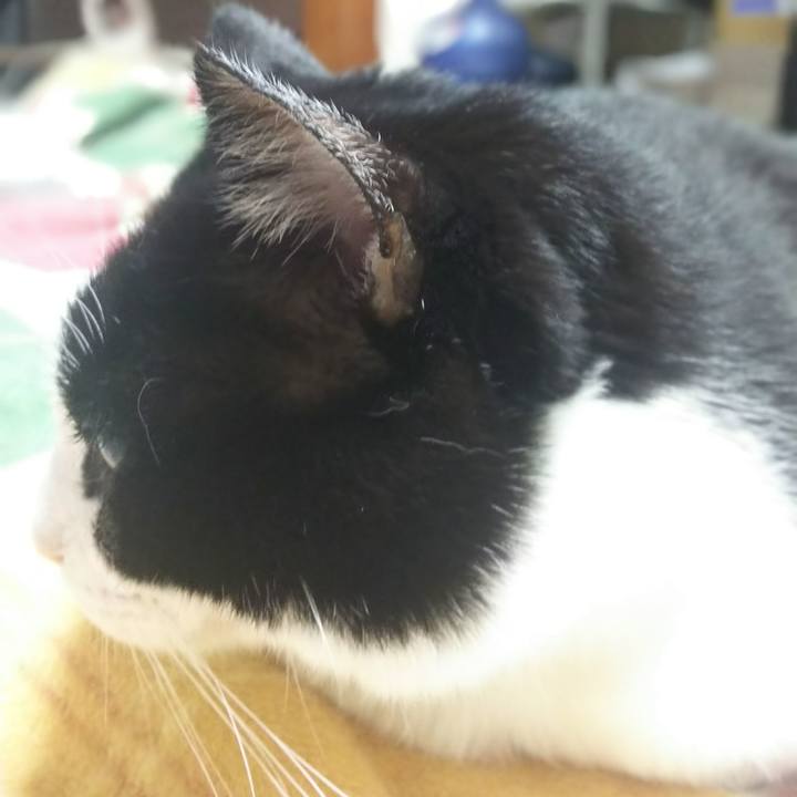 Cda76f0f 4095 4362 b4a2 d4aa91bd16e3 1544133000422