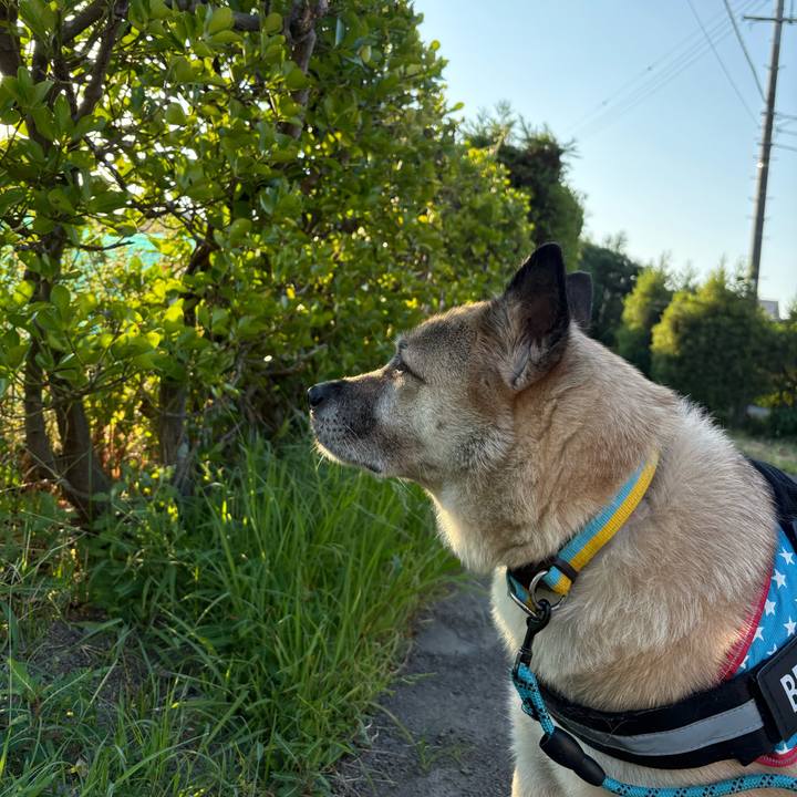 Cda7e64d 8594 4df6 9ad0 8a1ad55ed22c 1754052066542