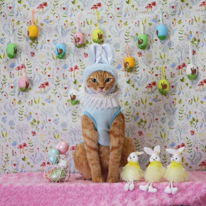 Cda7f5e6 2011 4d7e 8fbf 0e456e875fdb 1680652494982