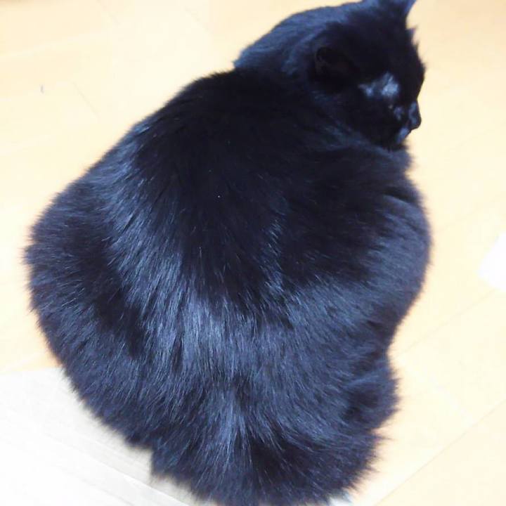 Cda7ff9f 4277 4bed 8d7f 8f978e50bcd1 1540731814005