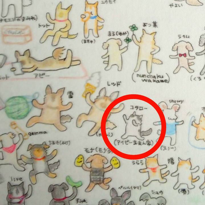 Cda80fe1 b5e6 4137 b298 ed3ee730348e 1660431560983