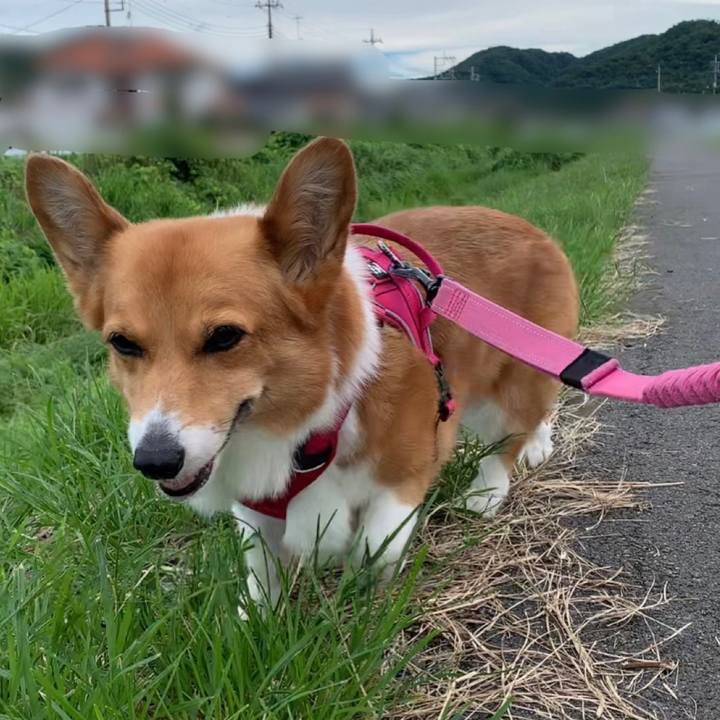 Cda8153d f2a9 4fc9 810d 34a654bd5531 1658275580596