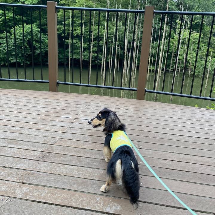 Cda82b81 589d 4203 be40 c209f6be29e3 1688868916302