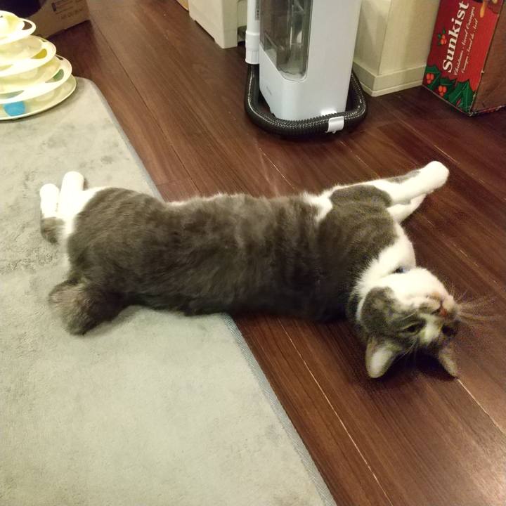 Cda85f03 5b0a 4976 8dae c503a301e397 1611660482997