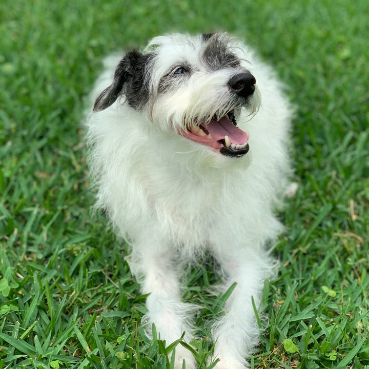 Cda879d2 d938 4e72 be4f 105dbb594eb3 1586383499698