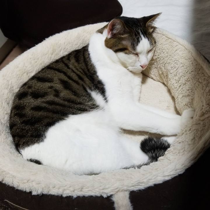 Cda8a24d 6263 4565 8b23 a2ec421d8b81 1587073164867