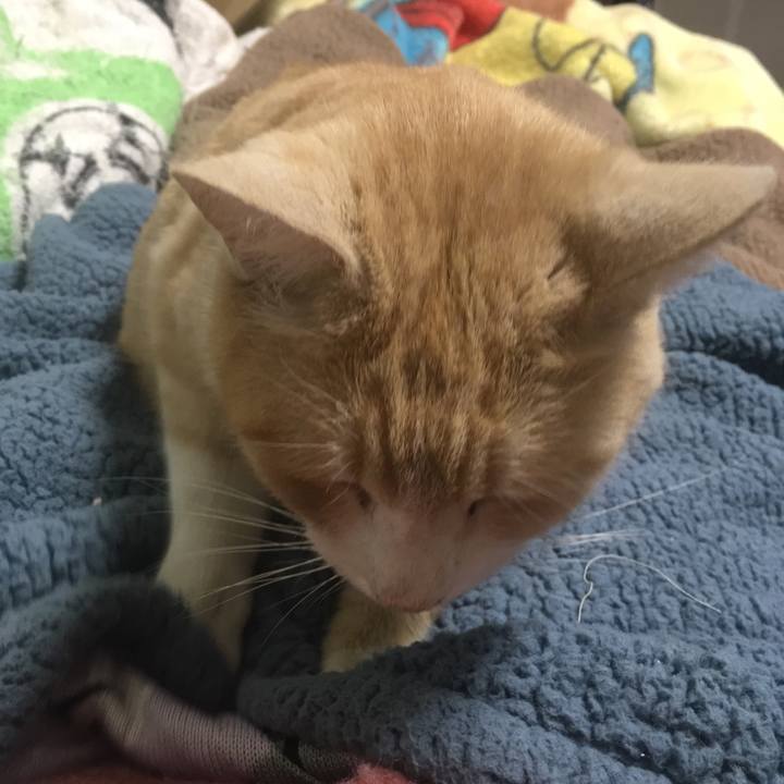 Cda8b3e0 8af9 4945 9d8b fb29cae4fec5 1546510236495