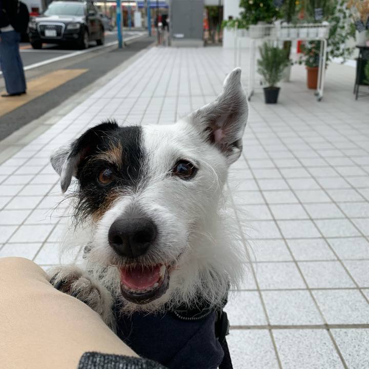 Cda8db04 6098 4259 a2d6 275d4e68c801 1715763915380