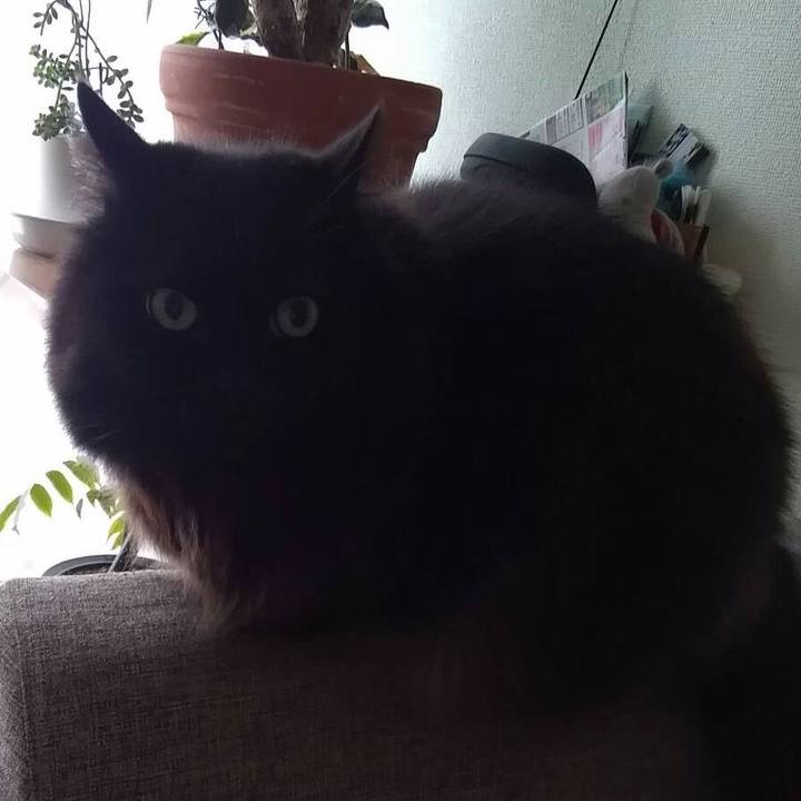 Cda937ff d4c2 4195 bf78 3a65f0d3f846 1515753587756