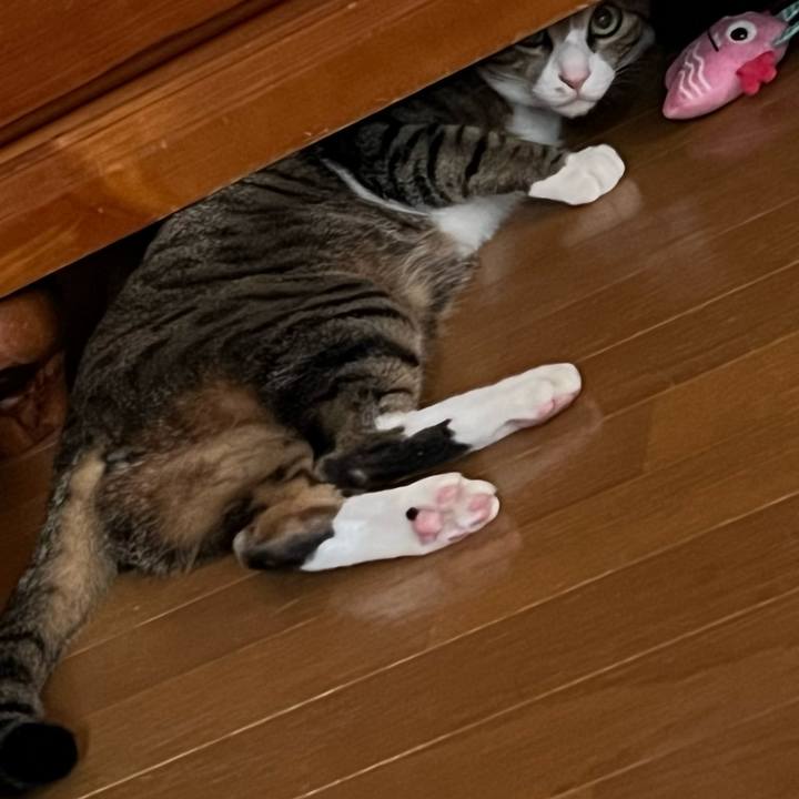 Cda94138 d256 49ff a03a 8909afa8c3bb 1713265711992