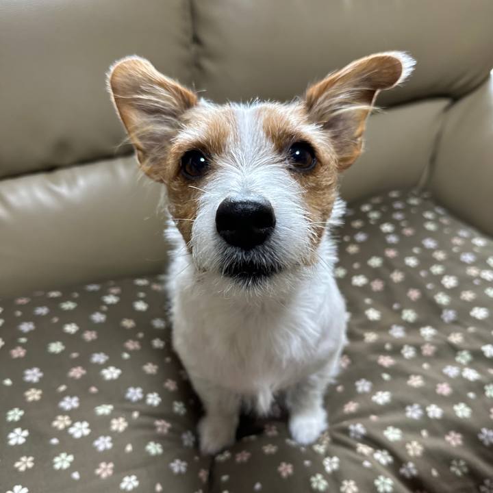 Cda951bd 5899 49a6 a278 913dc6af13d2 1766192612655