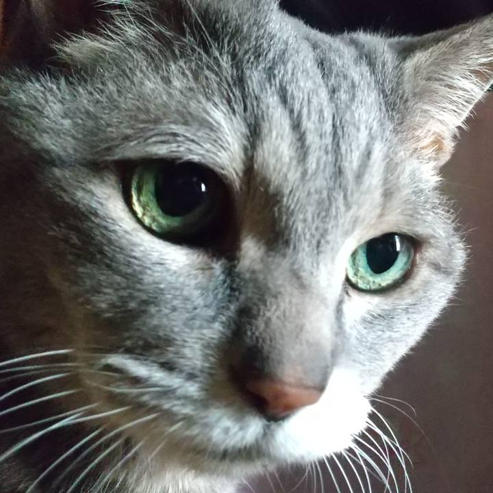 Cda95384 cc05 4177 93eb 7ed8fa5883d2 1723986563464