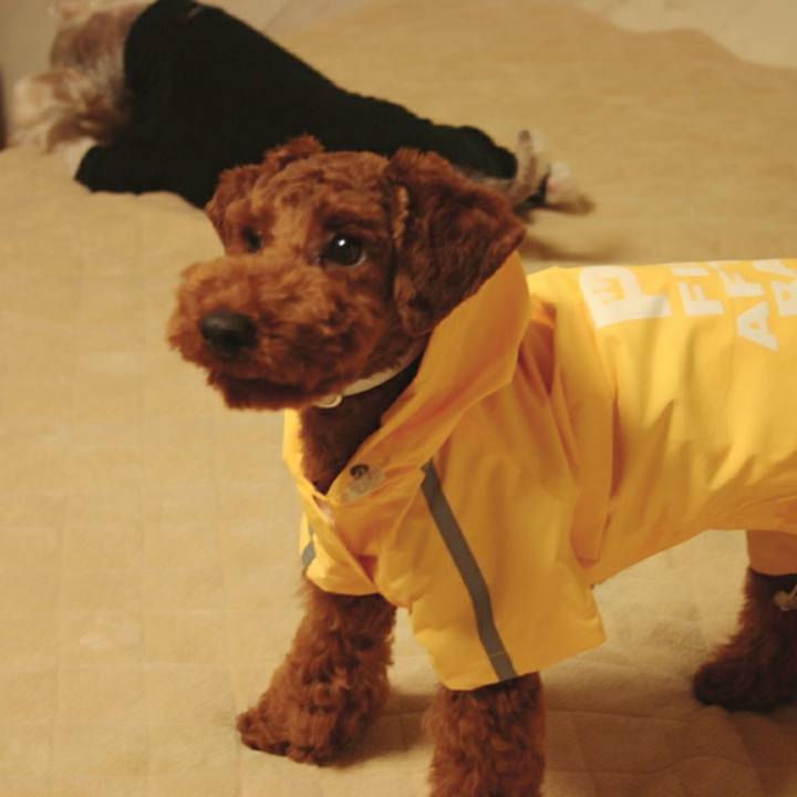 Cda96691 71d3 4d30 9178 0e3fdb0027f0 1535118767518