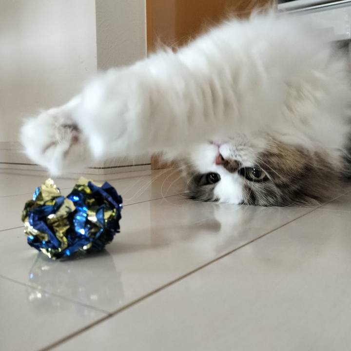 Cda98e5e fb6e 40a8 9d05 7433c5e16fb5 1758857317552