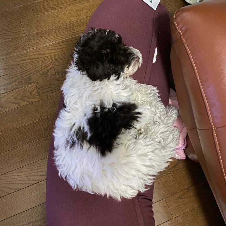 Cda9be7f 4f55 4978 b391 cbe8e7aab01c 1613798022983