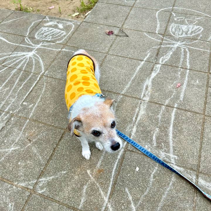 Cda9c721 a52c 4cb8 a2a8 15619129c15e 1713340504019