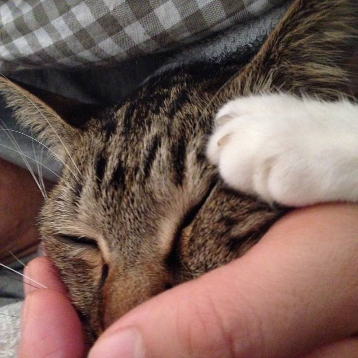 Cda9d8bc 6c88 45da 9e90 fe94fb896bb6 1514059234012