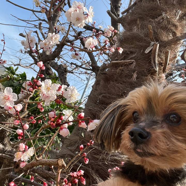 Cda9dc5d 6df9 4524 bb33 25a781f8f850 1708397756499