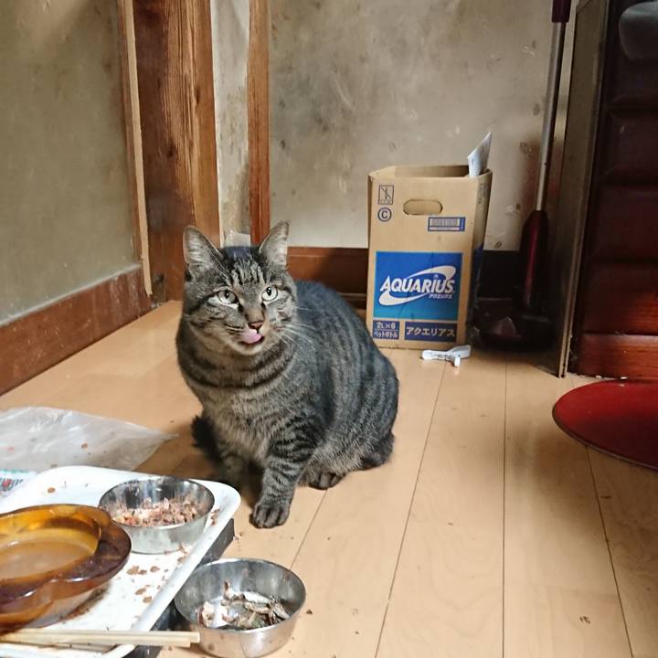 Cdaa30ad 02b8 40e4 af66 88606e3572b3 1635758374604