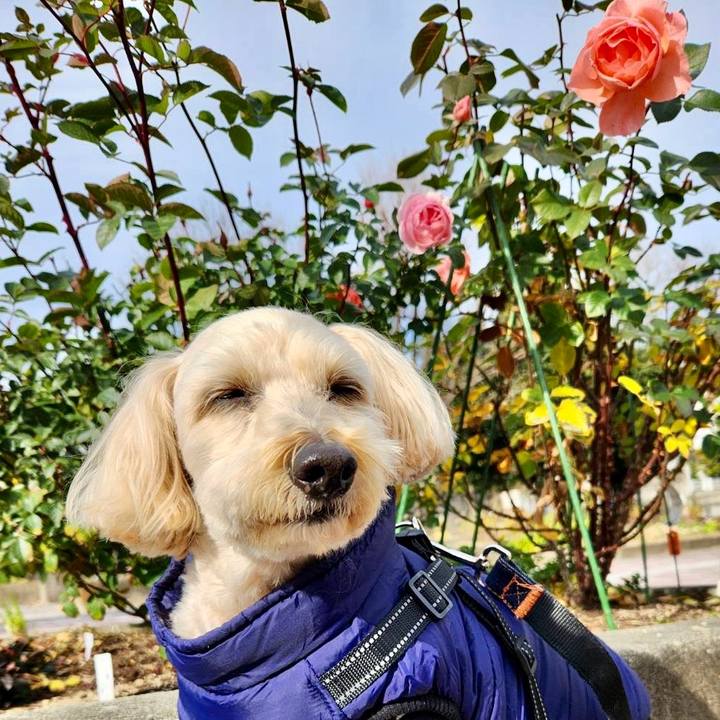 Cdaa4106 e6fd 4c5b 8333 ea4c2be8a013 1768103143192