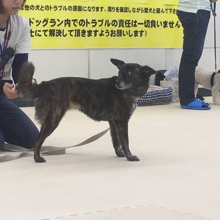 Cdaa56c2 6def 4cb2 9dee 710c1b1394aa 1561304167426