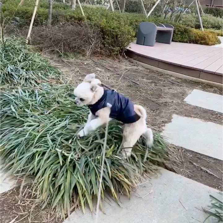 Cdaa67e8 5d79 4474 8109 2a64d29b0f6c 1550312903630