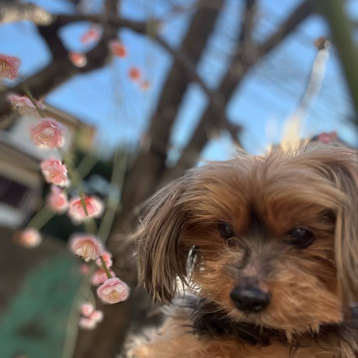 Cdaa7780 ebbd 4ebd 9d53 347f941e743e 1706510190252