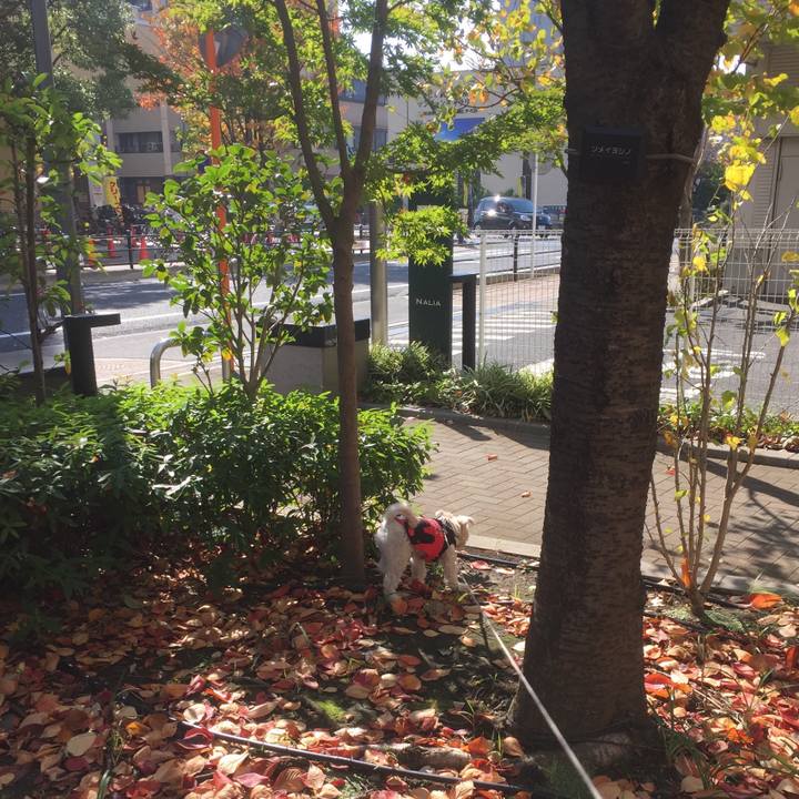 Cdaa8037 75fe 4e89 b717 dd9ff03fe597 1509862442423