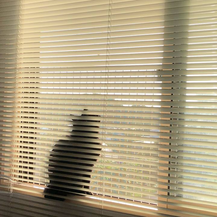 Cdaaad40 e2d3 424a adf6 0bc24dafecff 1593983295927