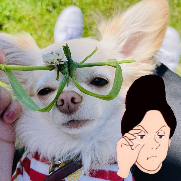 Cdaac36a a347 4386 bf33 83f2ad473551 1682586269299