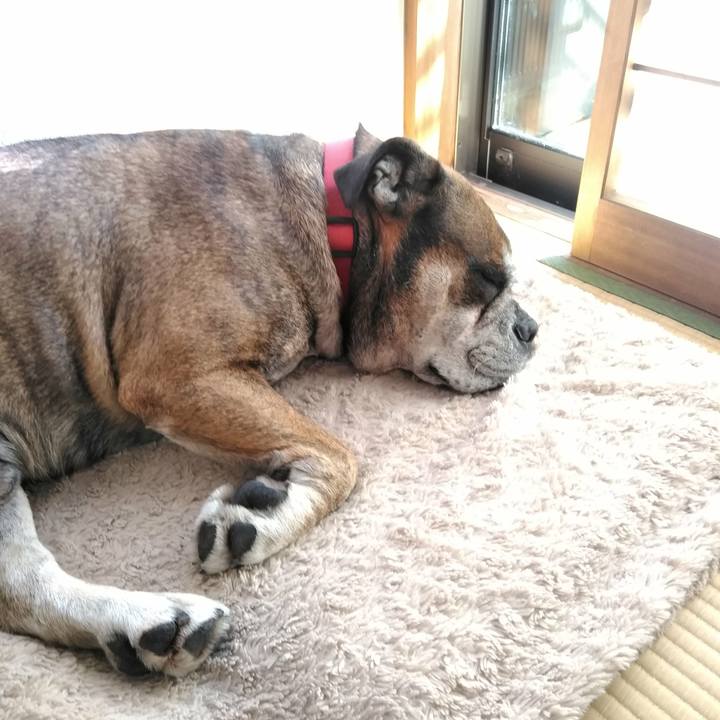 Cdab2900 1c09 44f0 9989 bfcafca45429 1514631495676