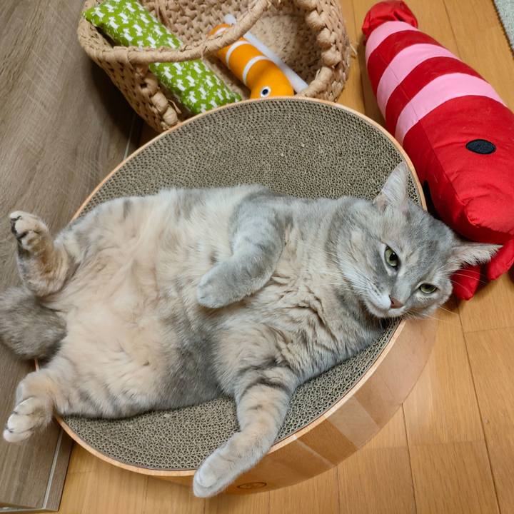 Cdab41fb ce1e 4c93 bb3e 60a6dab8a484 1640613165856