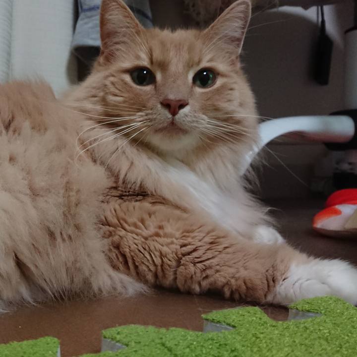 Cdab845b 1a8c 43fa 83b5 6b7d4bda2721 1558182101360