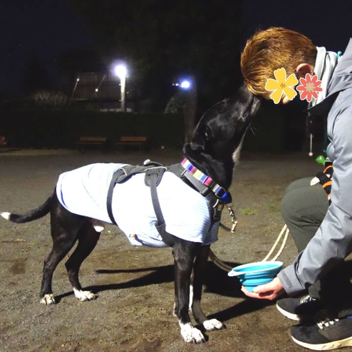 Cdabaf52 f7b1 441d a178 f31a8165d138 1640948434797