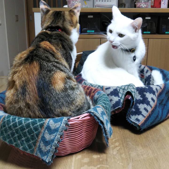 Cdac0f06 5fea 4c6a 857b cb9b54995d2a 1640855137031