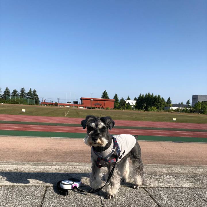 Cdac2b24 fecd 4b60 9fda 4263829720f6 1651703545905