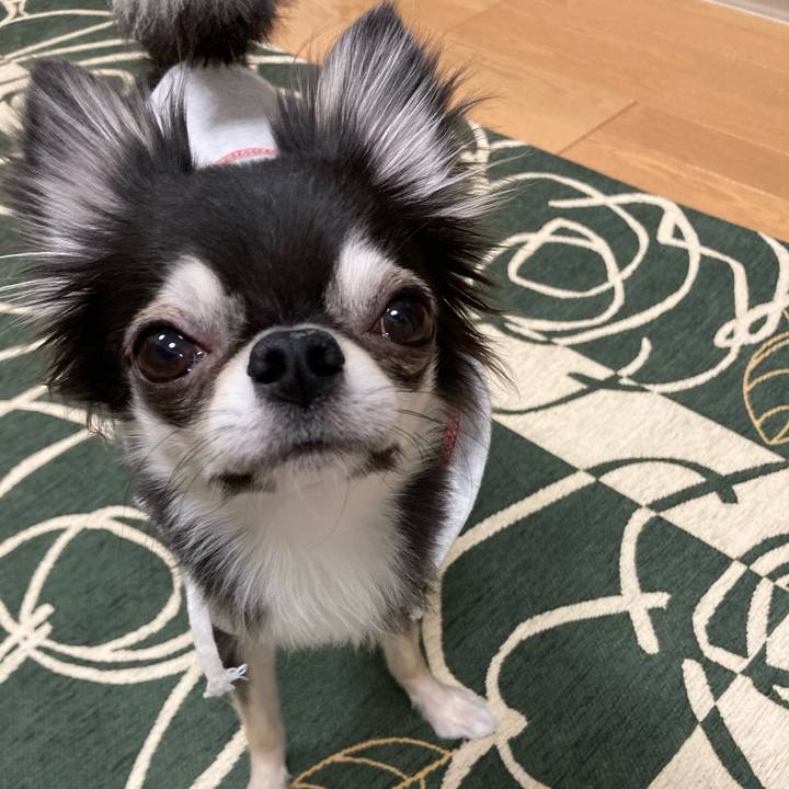 Cdac460a 9c89 486c b5ed ea398830ff3a 1639917973236