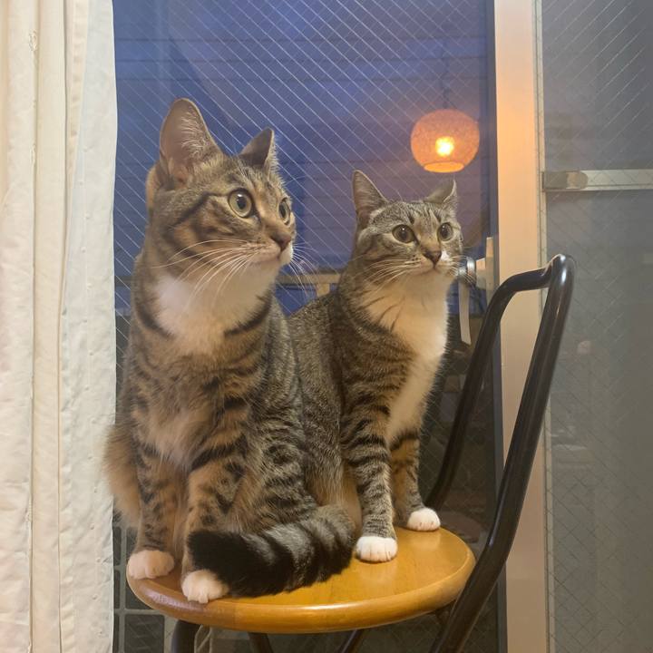 Cdac4825 1f1c 4814 81ea 25a14767827a 1557223478341