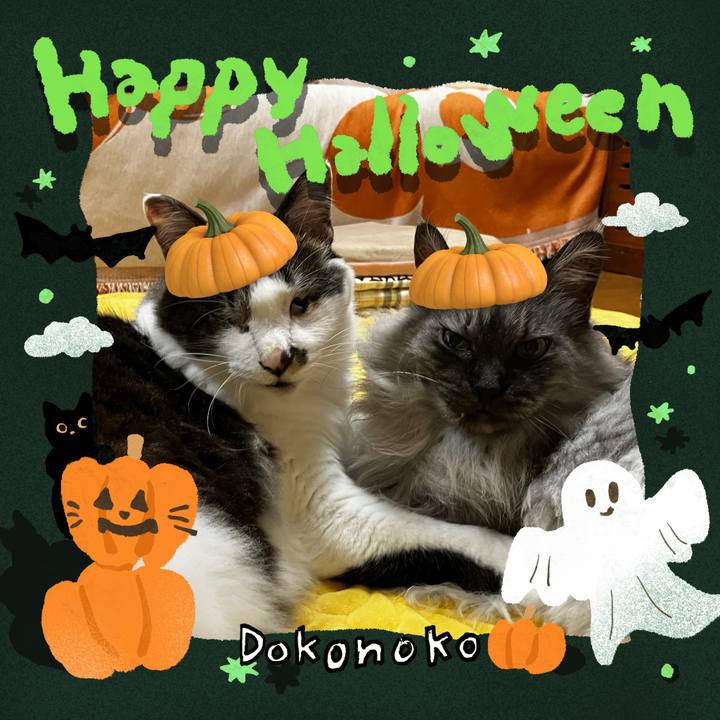 Cdac6d5c b306 4516 8ba8 27b8efe0c3f1 1729683487020