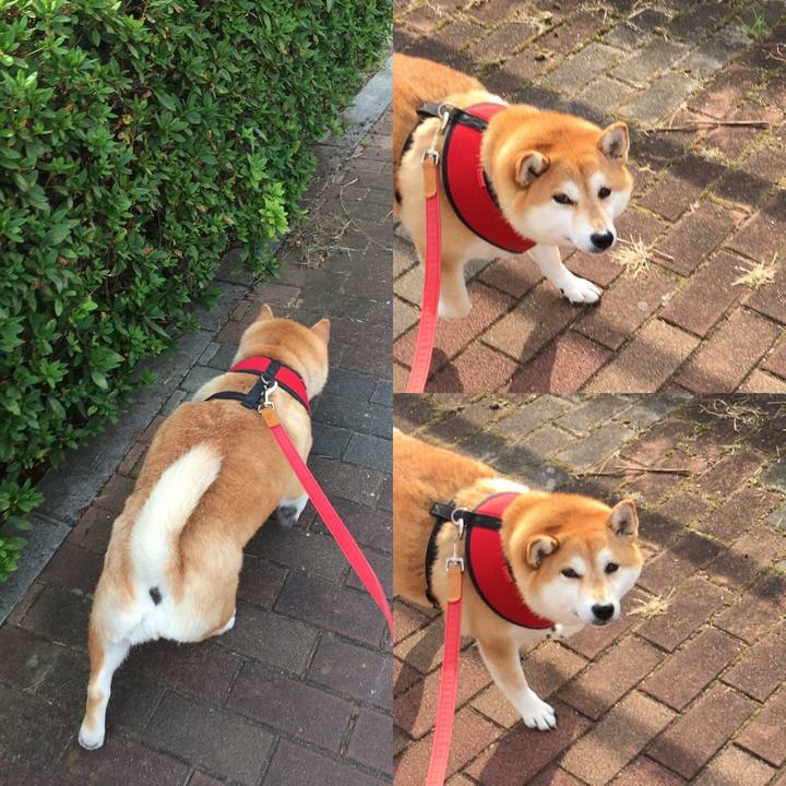 Cdacc17d a28b 4f1f a99f 5b7be841ed47 1604017384449