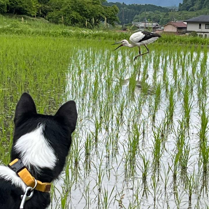 Cdacc27c f98d 4b23 b58c 8a5a35a2f57c 1748242937532