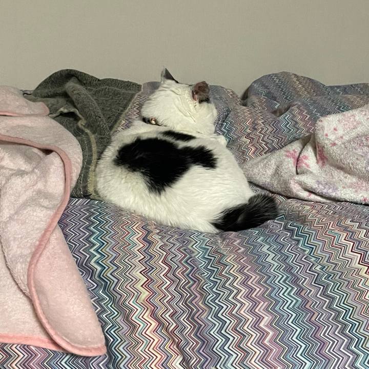 Cdacc5b6 3f05 419f baf3 edffcba1313b 1703980748089