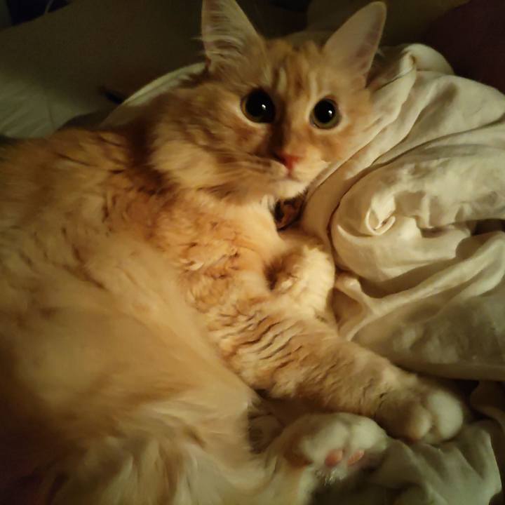 Cdacf6ca b370 4e74 a322 b60b89385f3c 1691421176723