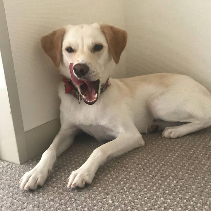 Cdad0eaa 396d 4c3a 91b3 c9037b8c2619 1532130346439