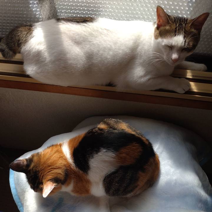 Cdad1c3b dad8 4dc2 8202 a35741b8b209 1695352485623