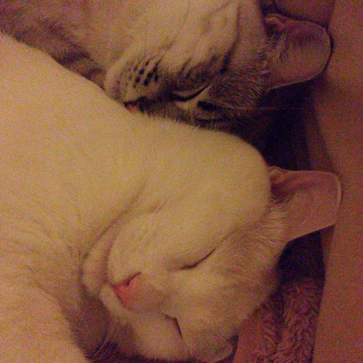 Cdad38de 0132 4ca2 880f 7b4134adaccf 1512303445061