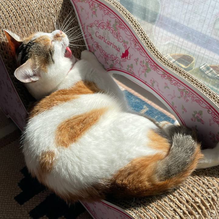 Cdad4a33 356a 4756 9562 885d826234a6 1626933479638