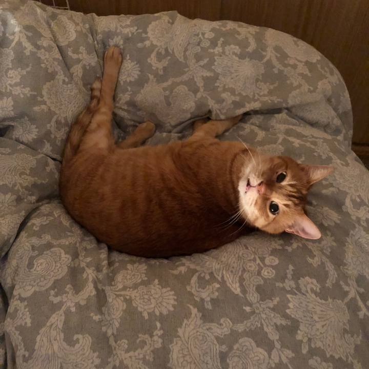 Cdad5488 325a 4437 9f07 e86ba7197b0f 1674484841730