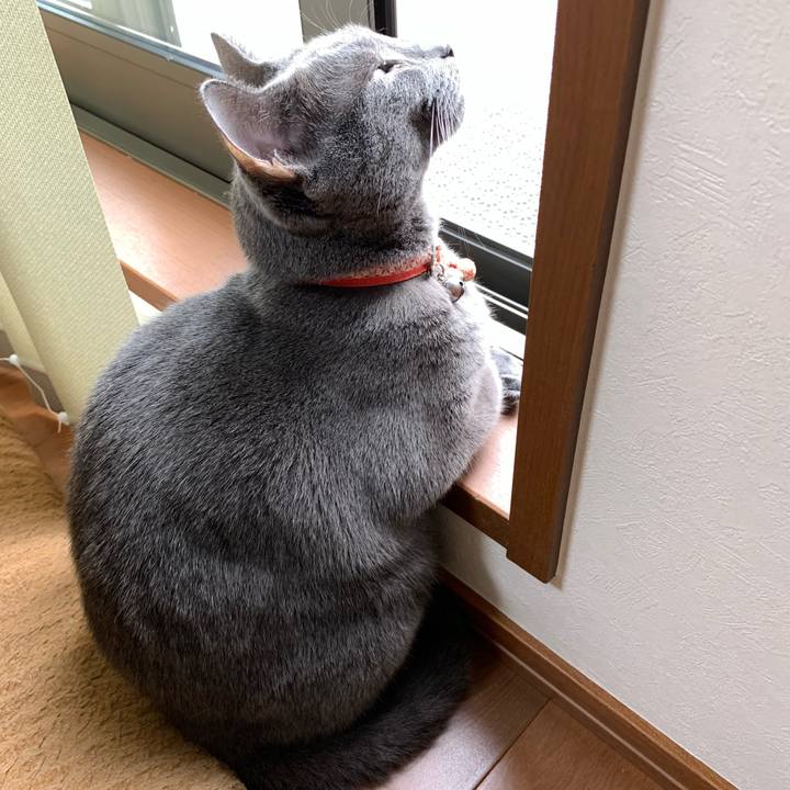 Cdad9ba2 6f1f 483e a01f 85a2a1d9126d 1605849762132