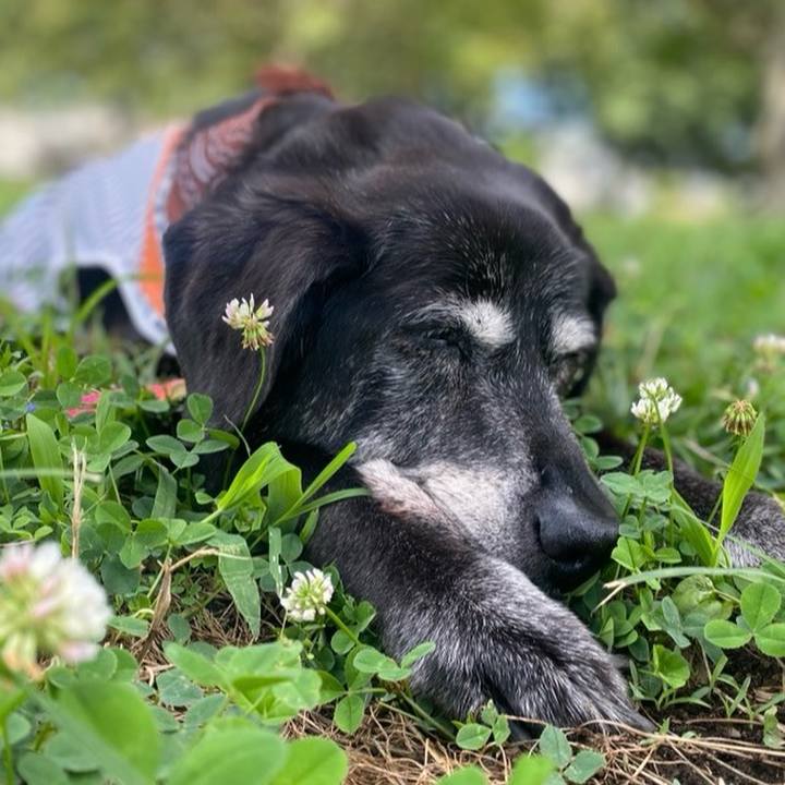 Cdadaace 69ef 4014 a94f 7129b5b4b9f5 1772805585005